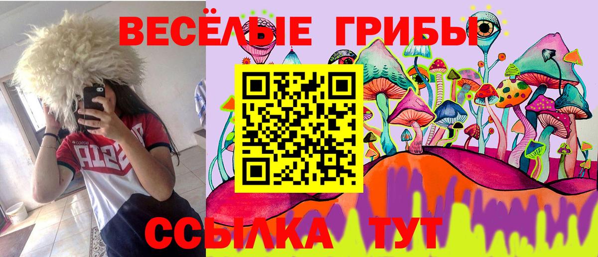 купить наркоту  Вход с VPN  Учалы  Псилоцибиновые грибы Cubensis 